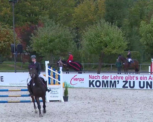 Reitturnier Frankenhof-Sonnefeld/Ofr. 2022