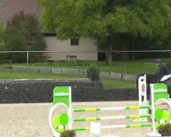 Reitturnier Frankenhof-Sonnefeld/Ofr. 2022