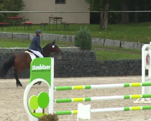 Reitturnier Frankenhof-Sonnefeld/Ofr. 2022