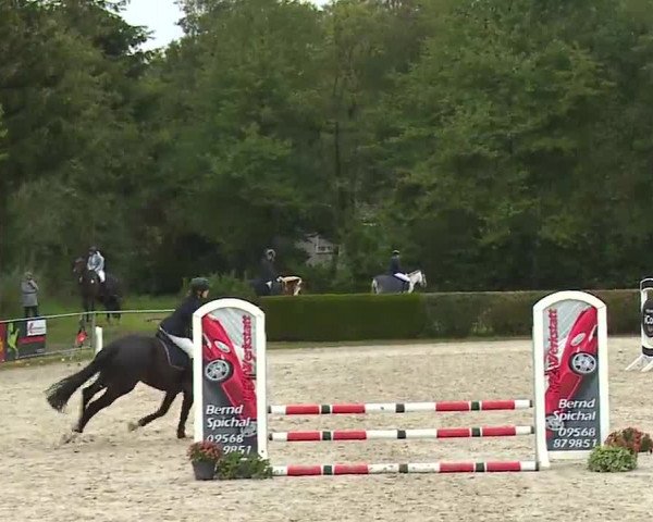 Reitturnier Frankenhof-Sonnefeld/Ofr. 2022