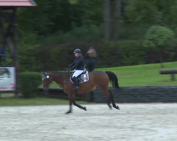 Reitturnier Frankenhof-Sonnefeld/Ofr. 2022