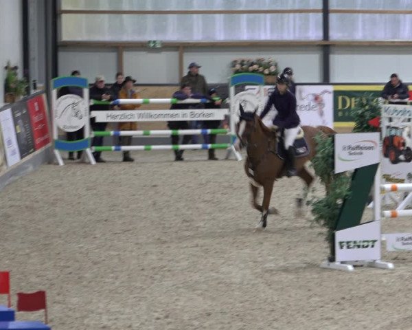 Reitturnier Borken 2022