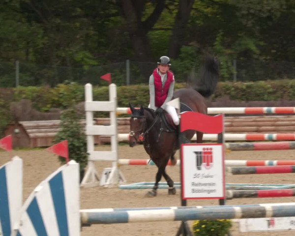 Reitturnier Böblingen 2022