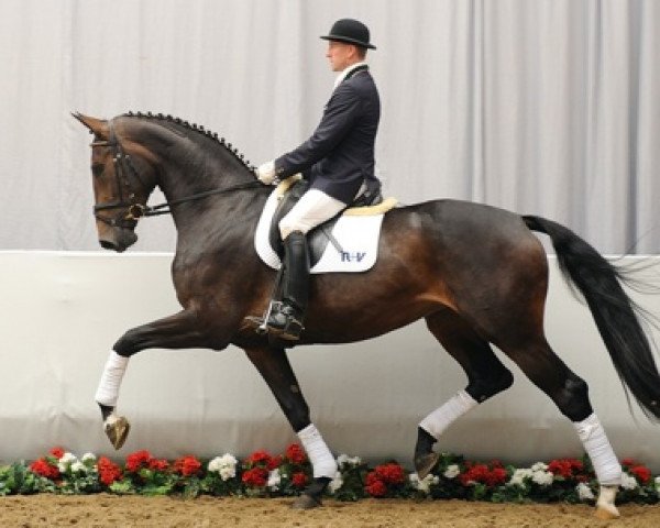 Dressurpferd La Fleur (Westfale, 2008, von Ehrentanz I)
