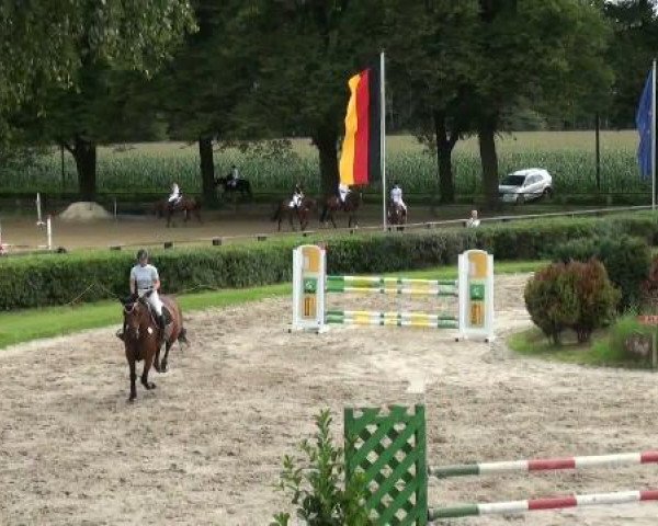 jumper Lou Lordana (Oldenburg, 2006, from Lordanos)
