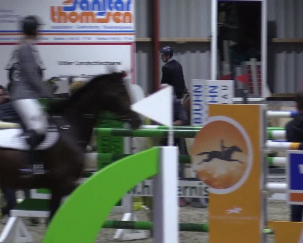 Behrendorfer Reitertage 2022