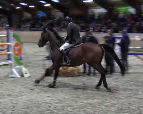 Behrendorfer Reitertage 2022