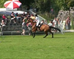 jumper Campina 30 (German Sport Horse, 2003, from Camporado B)