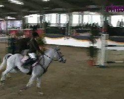 Jumper Coulthard R (German Riding Pony, 1997, from Constantin)