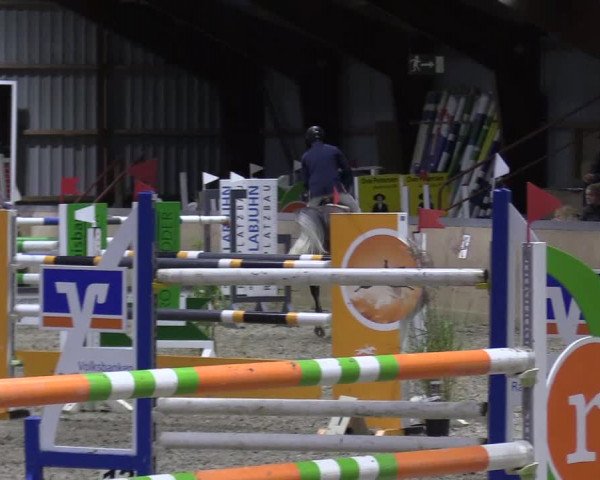 Behrendorfer Reitertage 2022