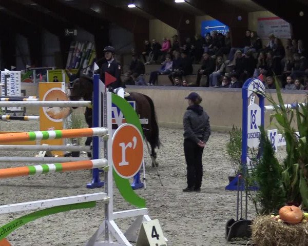 Behrendorfer Reitertage 2022