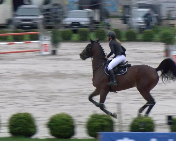 Reitturnier Basel Schänzli 2022