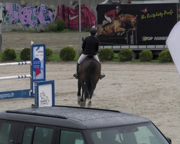 Reitturnier Basel Schänzli 2022