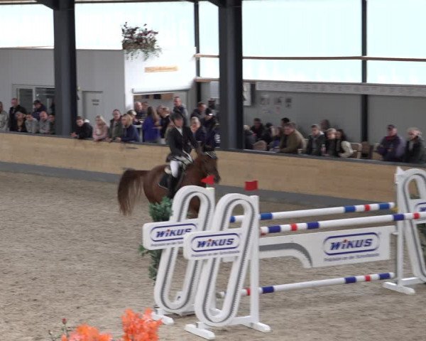 Reitturnier Borken 2022