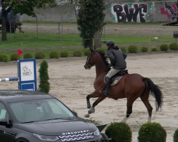 Reitturnier Basel Schänzli 2022