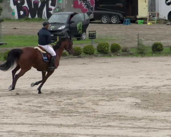 Reitturnier Basel Schänzli 2022