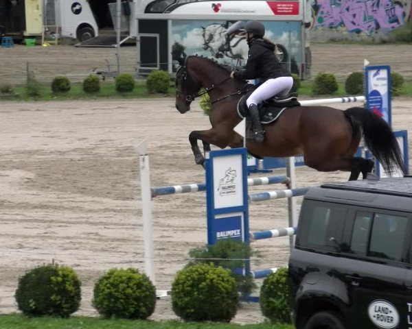 Reitturnier Basel Schänzli 2022