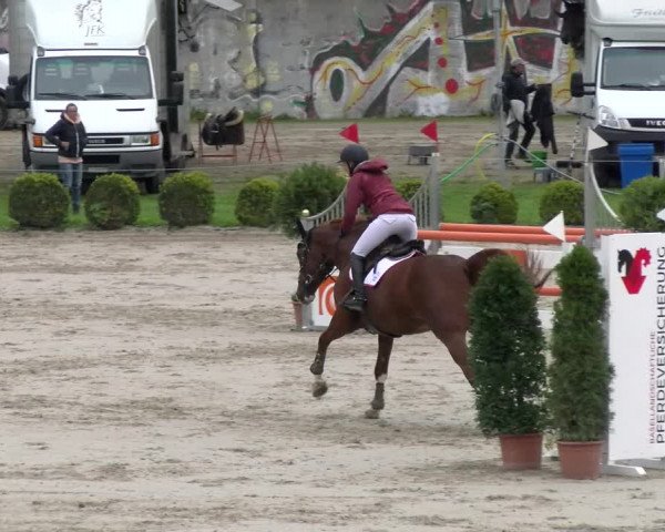 Reitturnier Basel Schänzli 2022
