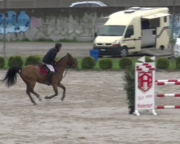 Reitturnier Basel Schänzli 2022