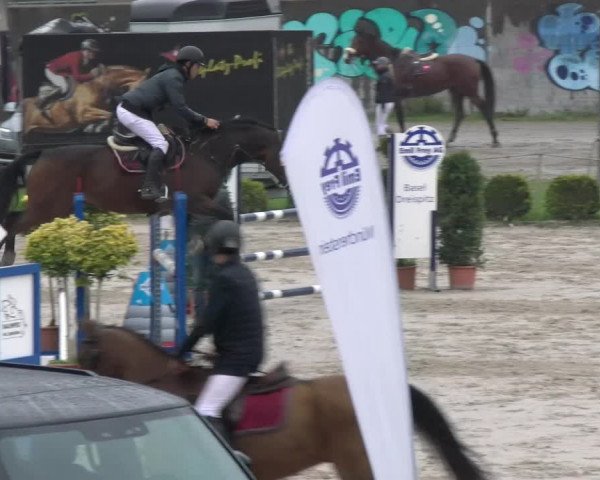 Reitturnier Basel Schänzli 2022