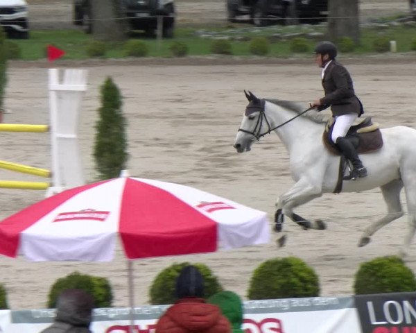 Reitturnier Basel Schänzli 2022