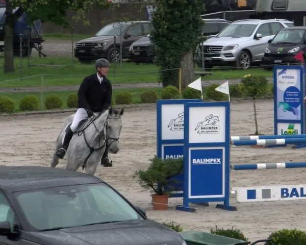 Reitturnier Basel Schänzli 2022