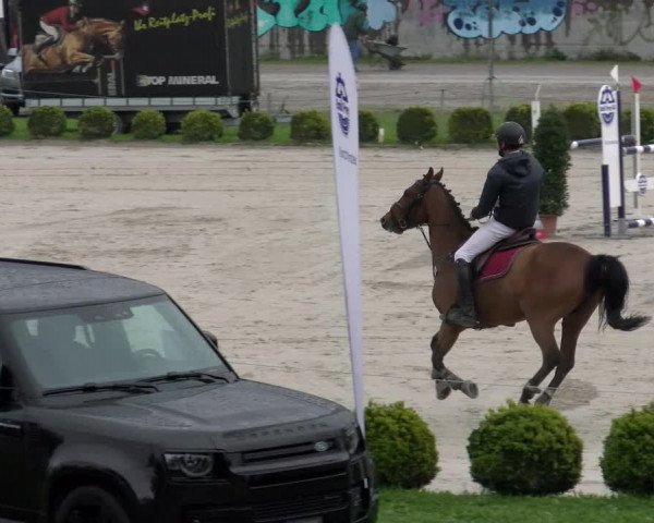 Reitturnier Basel Schänzli 2022