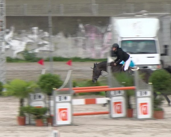 Reitturnier Basel Schänzli 2022
