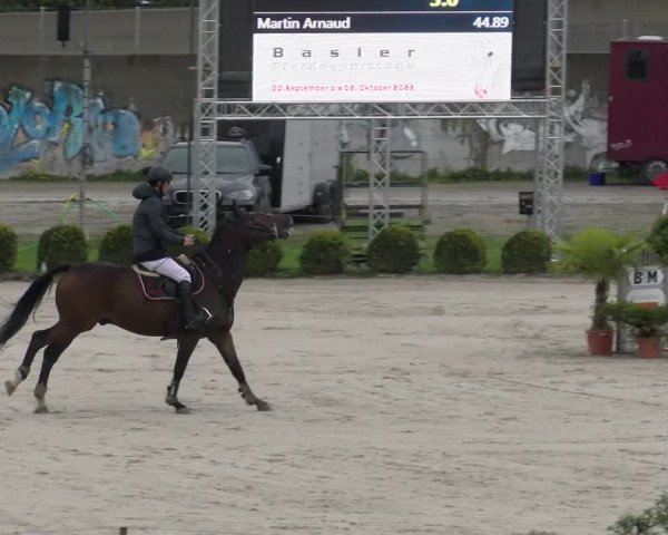 Reitturnier Basel Schänzli 2022