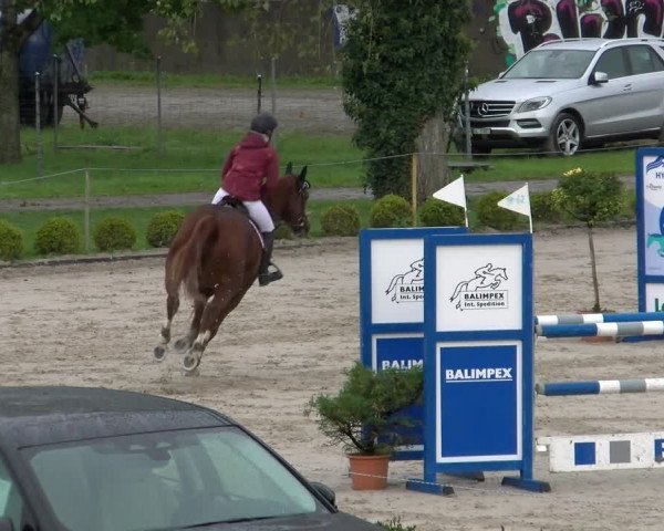 Reitturnier Basel Schänzli 2022