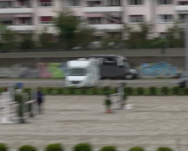 Reitturnier Basel Schänzli 2022