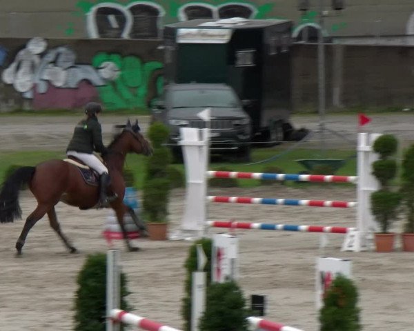 Reitturnier Basel Schänzli 2022