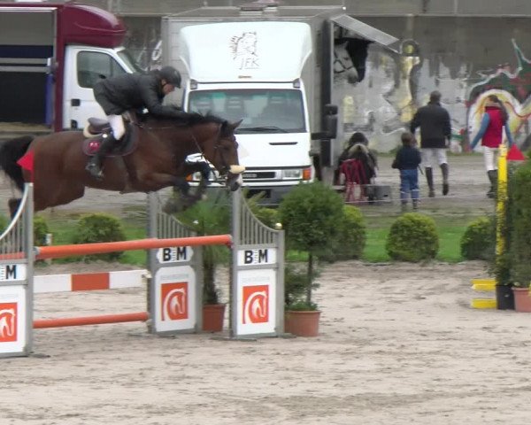 Reitturnier Basel Schänzli 2022