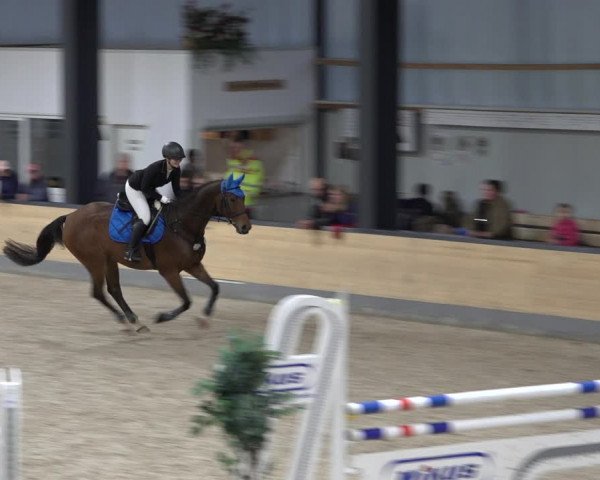 Reitturnier Borken 2022