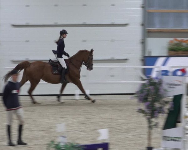 Reitturnier Borken 2022