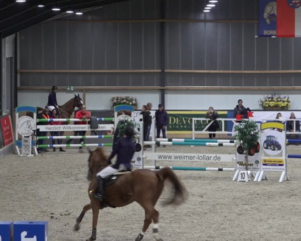 Reitturnier Borken 2022