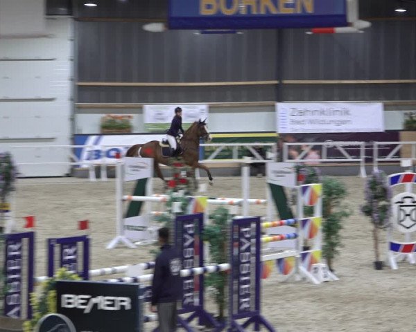 Reitturnier Borken 2022