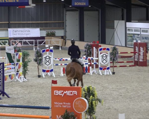 Reitturnier Borken 2022