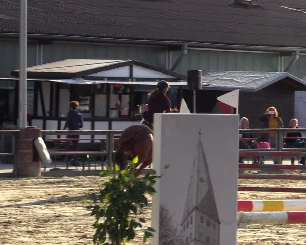 Reitturnier Kamen 2022