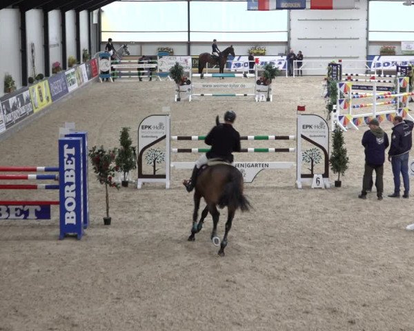 Reitturnier Borken 2022