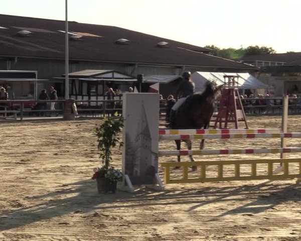 Reitturnier Kamen 2022