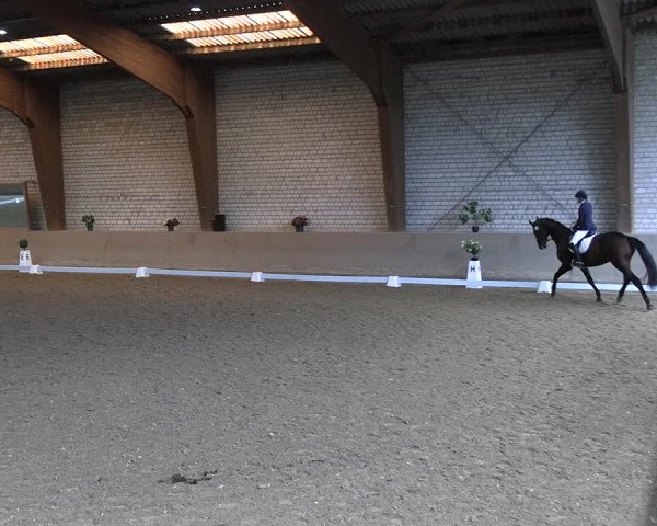 Reitturnier Kamen 2022
