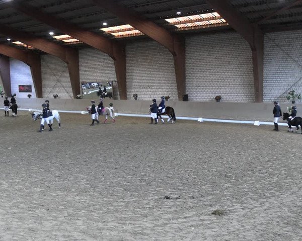 Reitturnier Kamen 2022
