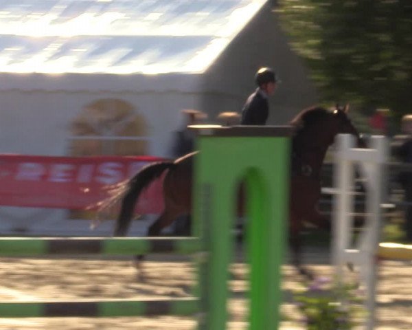 Reitturnier Kamen 2022