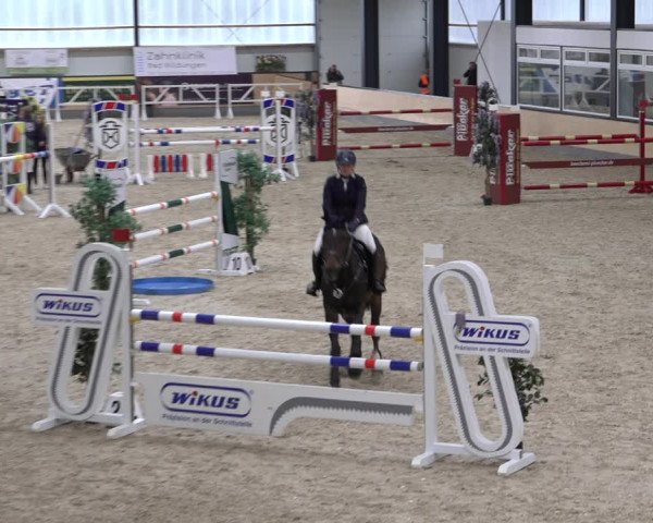 Reitturnier Borken 2022