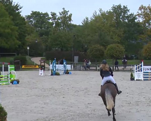 Reitturnier Frankenhof-Sonnefeld/Ofr. 2022