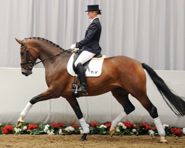 broodmare Biscaya (Westphalian, 2008, from Beltoni)