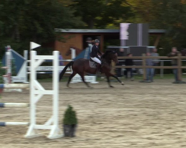 Reitturnier Kamen 2022