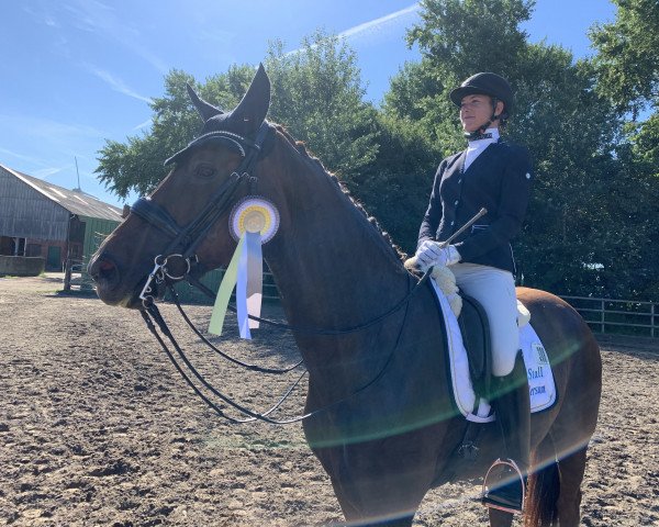 dressage horse Fritzi H (Westphalian, 2013, from Franziskus FRH) dressage horse Fritzi H (Westphalian, 2013, from Franziskus FRH)