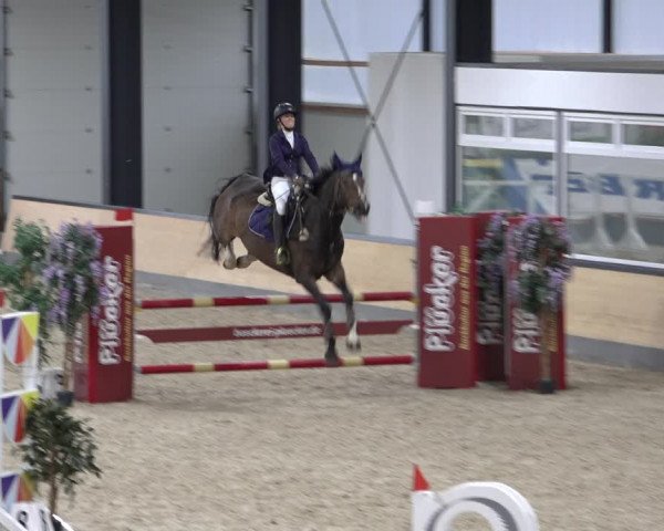 Reitturnier Borken 2022